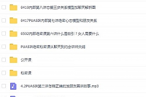 SIR恋爱团队 学习资料视频课程库