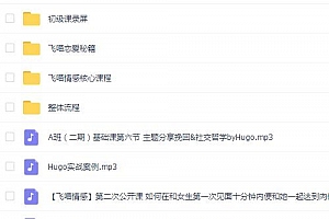 飞喵内部全集课程