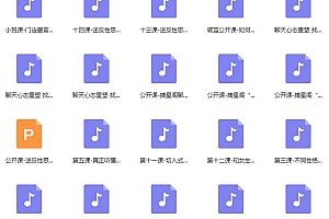 星星私教小班课 内部VIP课程
