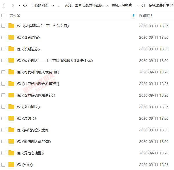 PUANEY倪团队全集